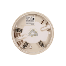 B501-WP